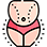 Cosmetic Surgery Centre Ltd